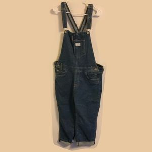 Levi’s Plus Size Denim Overalls